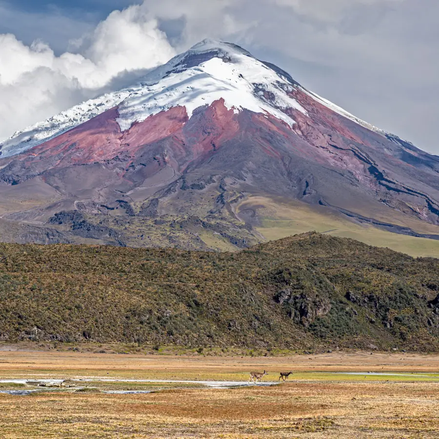 Cotopaxi Adventure